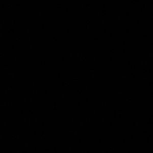 Meet your Posher, Nicholas